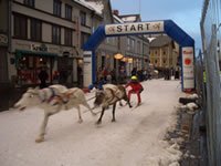 Sami Reindeer Races