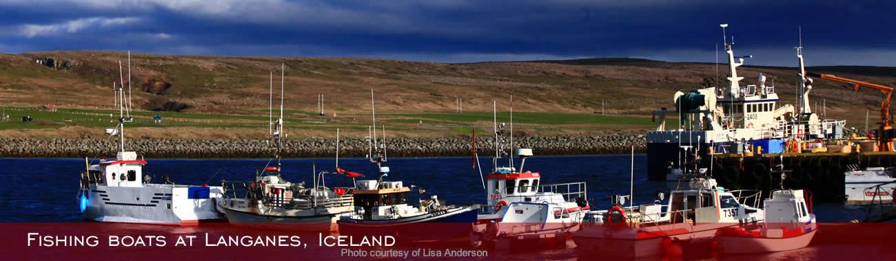 Fishing boats at Langanes, Iceland